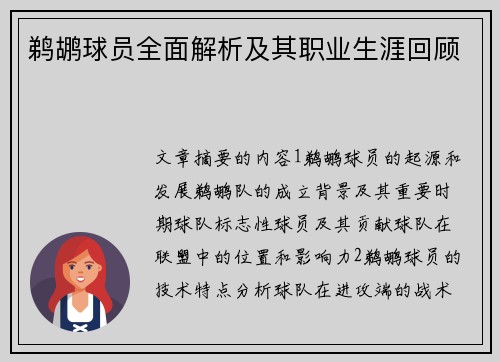 鹈鹕球员全面解析及其职业生涯回顾